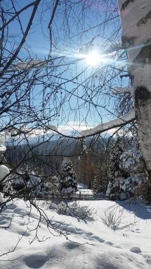 Jasmin Apartamento Bukowina Tatrzańska Exterior foto
